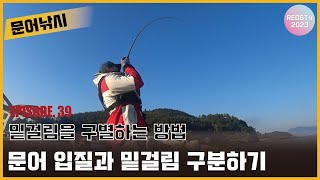 문어낚시 - 문어 입질과 밑걸림 구별하는 방법!