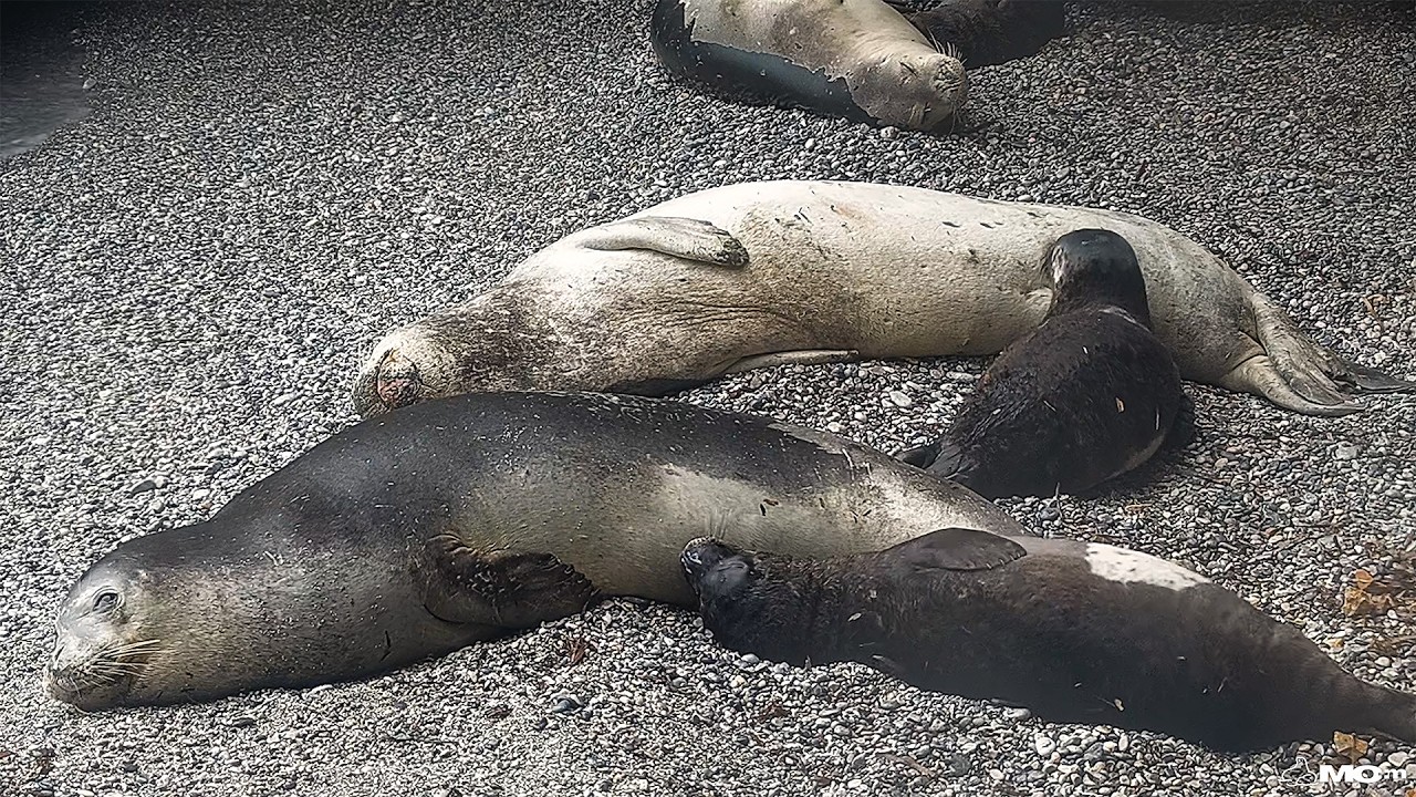 Amazing birth rate rise!