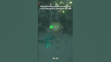 Helping/Finding a Korok everyday until a new Zelda game is announced Day 288