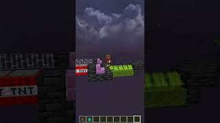 Minecraft Villager Iq Test Part 5