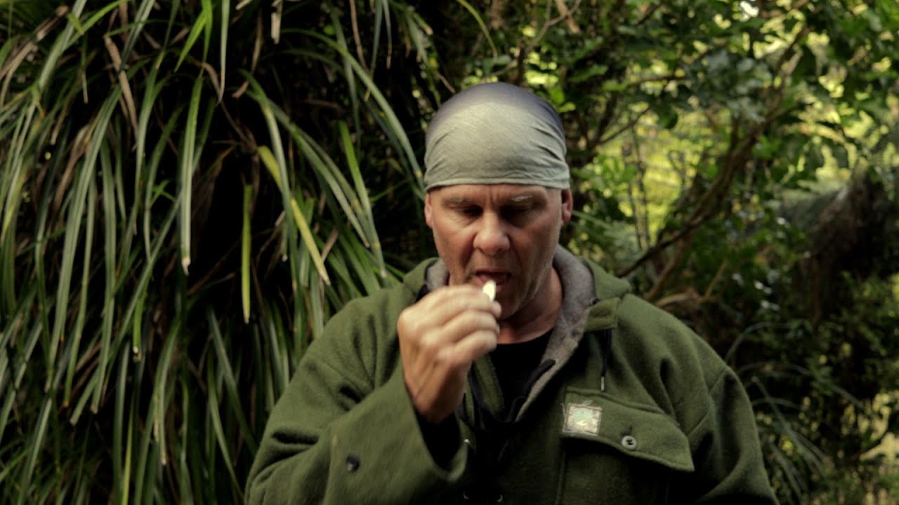 Kiekie Flower Bract. Survival Food From Wild Plants