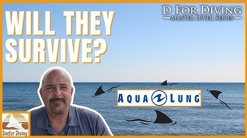 🔥 Aqualung’s Collapse: Will HEAD’s Takeover Sink Your Dive Gear?