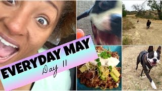 Everday May Day 11 | Hike | Puppy | Chili Recipe | everydaymay