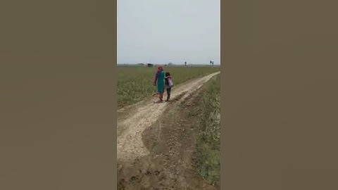 Plot for sale in Defence Colony Sahpur Danapur | 5 katha | 60 ft. Road | Price - 28 lakh per Katha