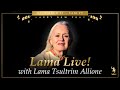 New years eve lama live with lama tsultrim allione december 31 2023