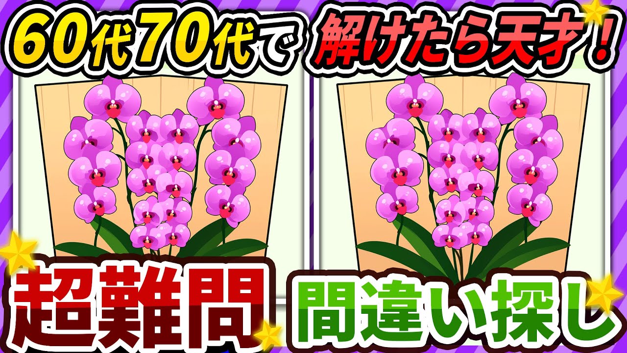 【間違い探しクイズ】⚠️むずかしい胡蝶蘭のイラスト編！脳活＆脳トレにおススメ無料ゲーム【アハ体験有り】#172