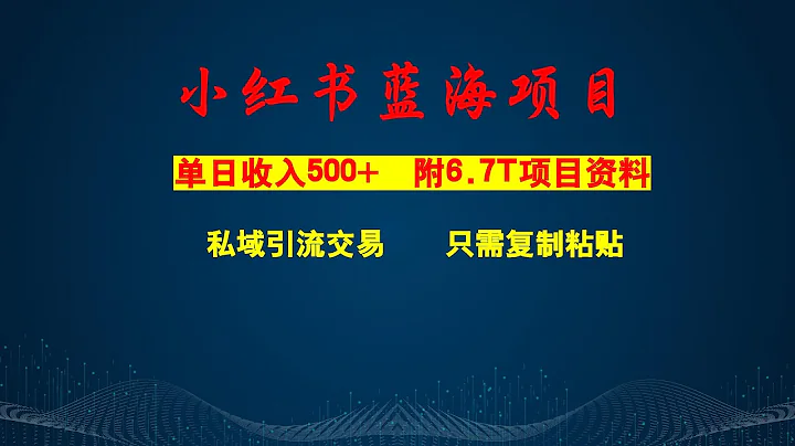 小红书蓝海赛道，私域引流交易，只需要会复制粘贴，日入500+（附6.7T项目资料） - 天天要闻