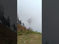 foggy Mountain | Foggy Mountain 🏔️ | Kalimpong #shorts #viral #iftikaralam