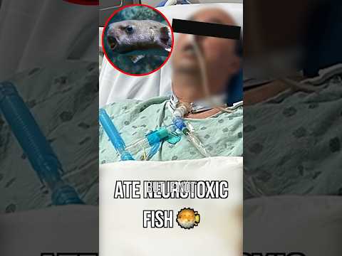 A Man Ate Mishandled Pufferfish π¨