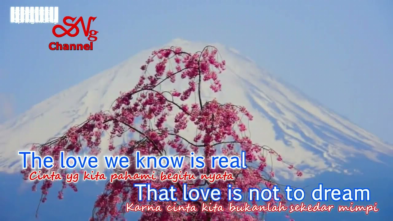 JUST FOR YOU - RICHARD COCCIANTE KARAOKE