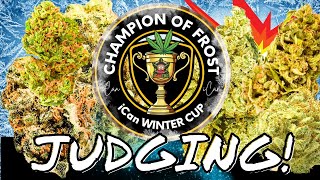iCan FROST CUP! 🏆  Judging The BEST Strains! 🔥