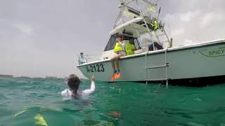 Aruba Premier Boat And Dive2
