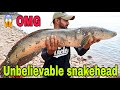 Unbelievable Snakehead Fishing Video!! ये विडीओ दोस्तों के नाम ! Amazing Fishing By Sahil And Faraz!