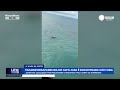 Mulher desaparecida em alto-mar é encontrada com vida