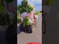 Tukang garit gaaaas..