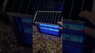 Keep bugs away with the Solar Bug Zapper Outdoors