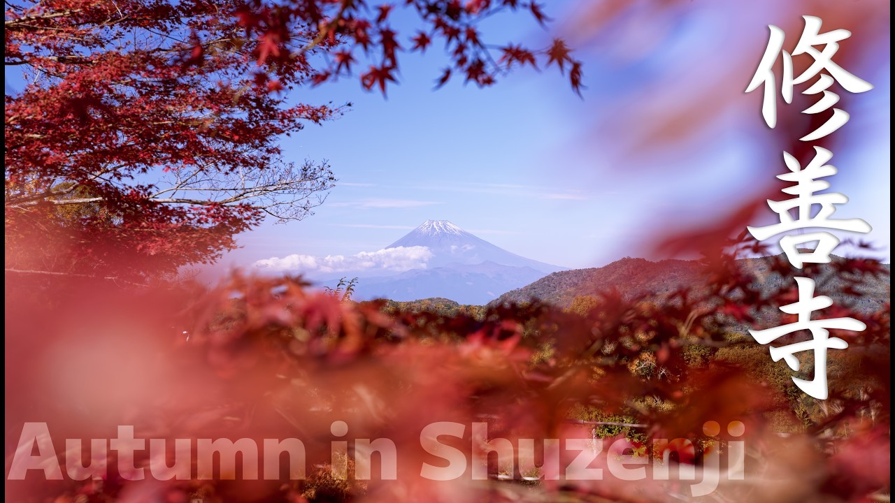 秋の修善寺 美しい紅葉