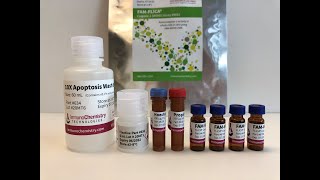 New Product: FAM FLICA Caspase-1, WEHD Wealth