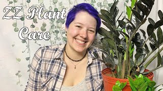 ZZ Plant Care ~ Stay In Bloom With Leah by Jacobs Trading Ye Olde Rock Shop 129 views 1 year ago 2 minutes, 49 seconds