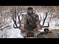 AMAZING SHOT!!! Idaho Mule Deer Hunt - Stuck N the Rut 126
