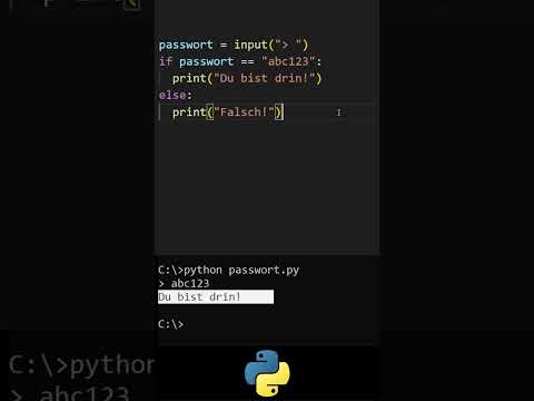 Passworteingabe absichern in Python (1/3)