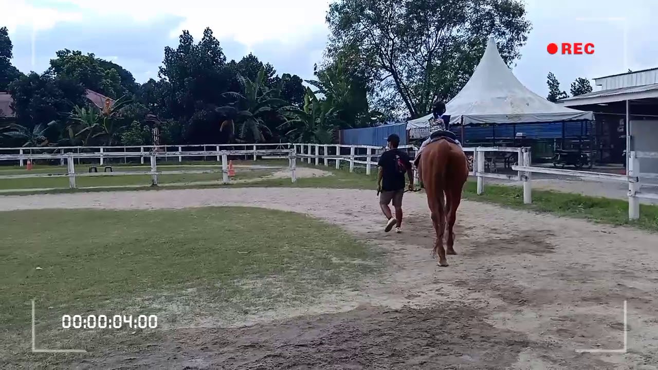 TUNGGANG KUDA - YouTube