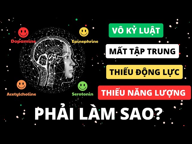 Huấn luyện Bộ não tăng Năng lượng, Tập trung, Tỉnh táo, Kỷ luật, Động lực u0026 Sự Hài lòng ngay lập tức class=