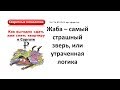 Жаба – самый страшный зверь или утраченная логика