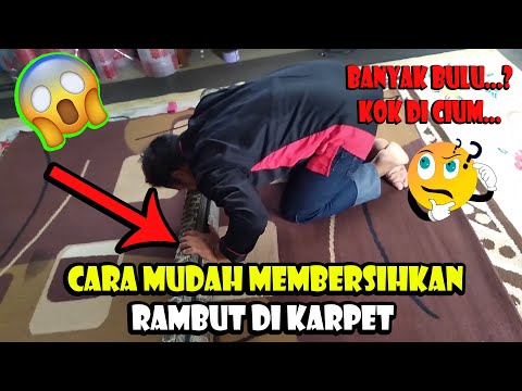 Video: 4 Cara Menghilangkan Noda Peluh dari Helaian