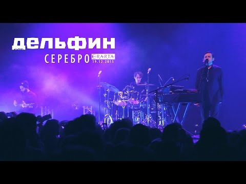 Дельфин - Серебро