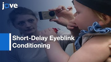 Classical Short-Delay Eyeblink Conditioning In One-Year-Old Children l Protocol Preview