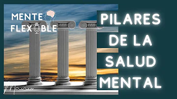 ¿Cuáles son los pilares de una buena salud mental?