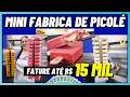 Como Montar uma MINI FABRICA DE PICOLÉS com Pouco Dinheiro