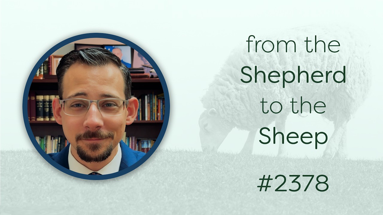 From the Shepherd to the Sheep - #2378 - CBC