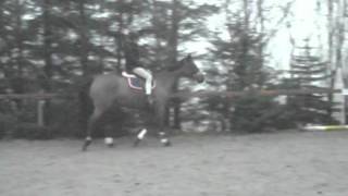 DSCF2485