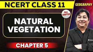 Natural Vegetation FULL CHAPTER | Class 11 Geography NCERT Chapter 5 | OnlyIAS