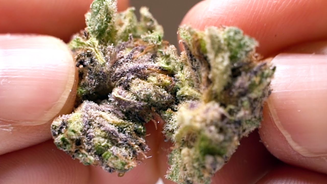 ｛Buds Up｝Purple Diamond - Indica | Cannabis
