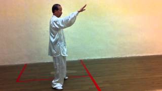 [20120501 太極課] 老架一路 - 第六式 -金剛搗碓至第八式 - 斜行