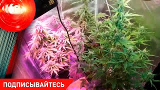 Семейный скандал со стрельбой! Виртуальный педофил! И зачем солигорчанин ванну пропил? 15.02.2022