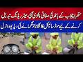 Suthra Punjab Worker Rangey hathoon pakrra gya | neo Digital
