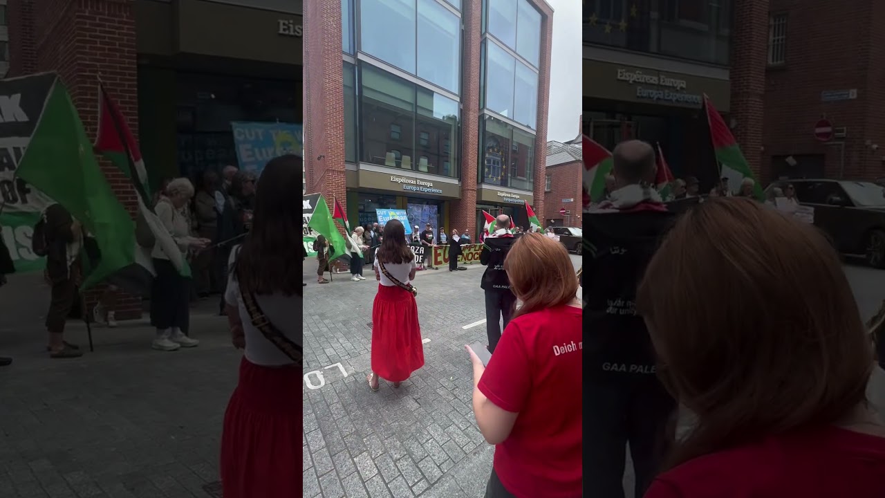 Pro Palestine Supporters in Dublin - EU office