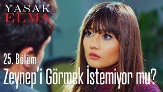 Alihan Zeynepi Görmek Istemiyor Mu? - Yasak Elma 25 Bölüm