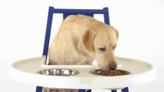 IKEA HUNDSTOL Dog Highchair screenshot 3