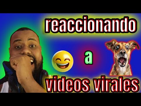videos mas virales en 2025