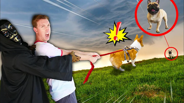 CLOAKER & Hacker Dog Control My Life for 24 Hours ...