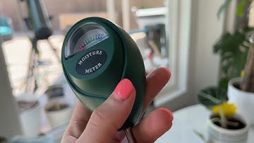 How to know when to water your plants / Soil Moisture meter from Amazon