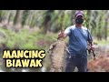 Ternyata sarang biawak vlog mancing dikebun sawit