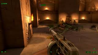 Angry Marsh Hoppers in Serious Sam