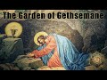 The Garden of Gethsemane