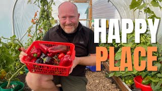 When September Comes | Tomatoes | Peppers |  Spider Farmer SF600 Grow Light And Metal Plant Stand